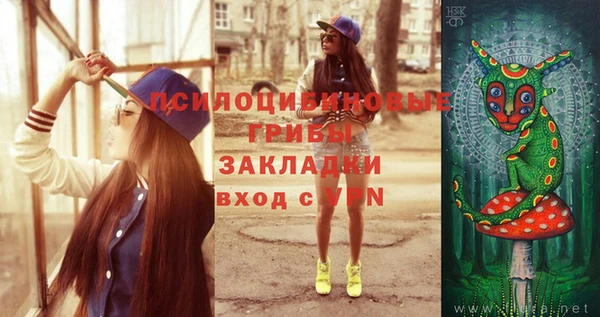 ешки Апатиты